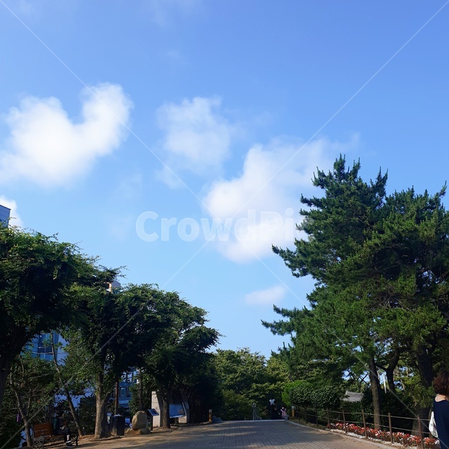 하트구름,구름,나무,산책,하늘