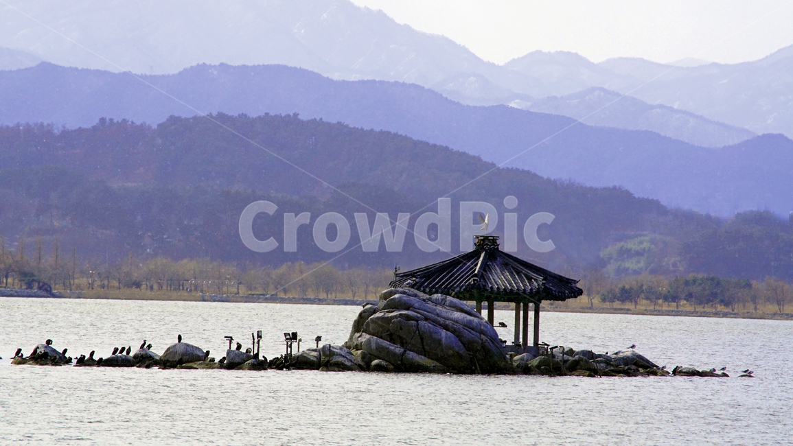 월파정,outdoors,옥외,nature,자연,강릉,경포호수,바탕화면,배경화면,background,철새,호수,자연,풍경,nature,landscape,한국자연풍경,한국자연경관,korea nature landscape