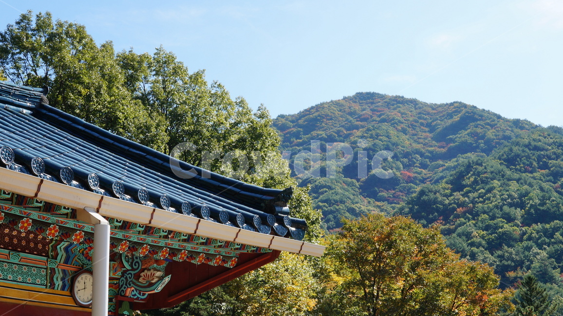 절,지붕,기와,하늘,산,한국전통,한국문화,korean traditional,korean culture,건축물,건물외관,exterior,building,structure,architecture,construction