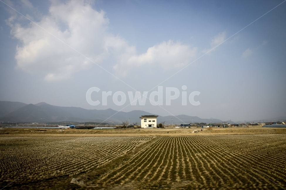 하늘,구름,집,들판,논,풍경,외딴집,고독,흰구름,시골,마을,풍경,landscape,country,rural,town