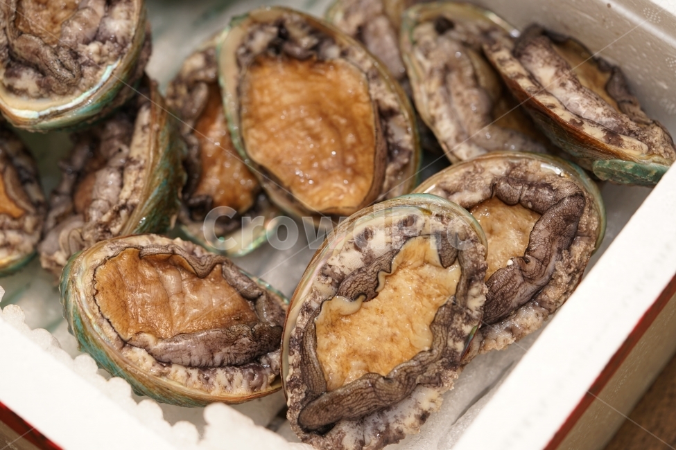 전복,해산물,먹거리,안주,술안주,생물,먹방,해물,씨푸드,바다,음식,seafood,푸드,안주거리,회,전복회,안주꺼리,소주안주,음식,식재료,요리,food,cook,meal,dishes,food reserves,수산물,해산물,fishery products,seafood