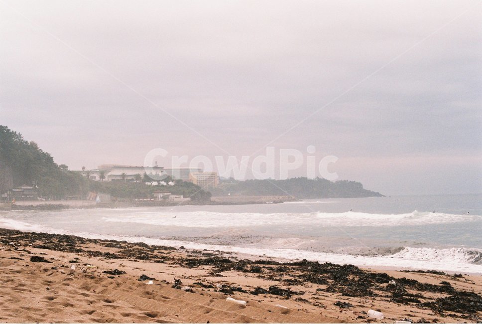 바다,나무,파도,하늘,제주도,자연,풍경,nature,landscape,해변,바다,beach,sea,감성,sensible,feeling,promontory,곶,ocean,대양,water,물,outdoors,옥외,shoreline,해안선
