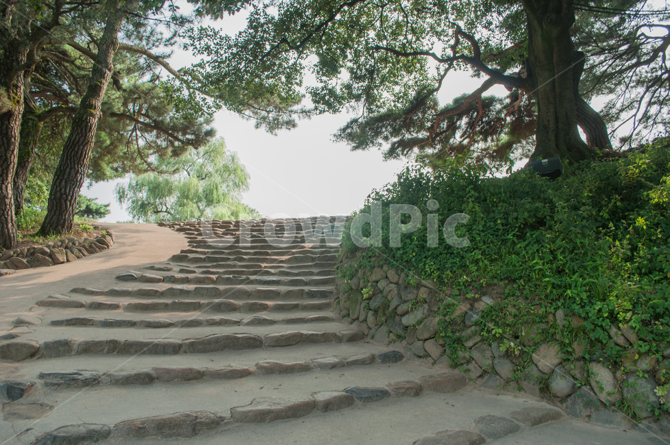 반월성,계단,돌계단,하늘,stair,신라,유적,경주,풍경,자연,나무,외길,자연,풍경,nature,landscape,outdoors,옥외,path,통로,walkway,보도