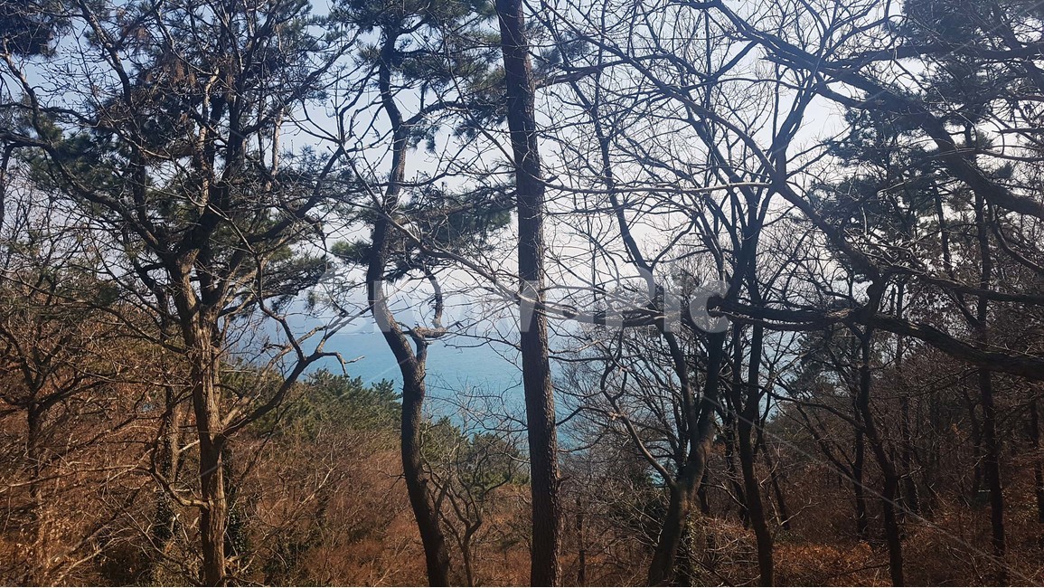 바다,바닷가,파도,해안가,수평선,자연,풍경,절경,해안도로,하늘,절벽,해안절벽,나무,윤슬,물거품,부산,이기대,해파랑길,겨울바다,파란색,바위,식물,자연,plants,nature,나무,trees,wood