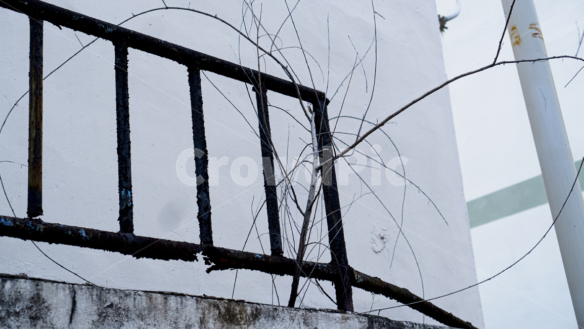 handrail,난간,빈티지,그런지,거친,벽면,오래된,식물,자연,plants,nature