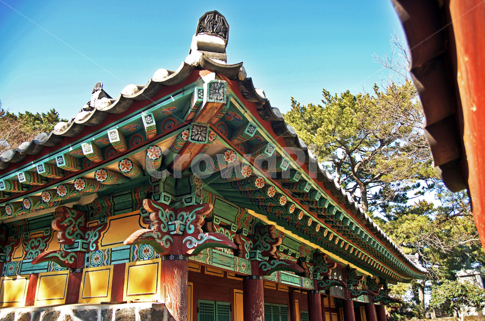 제주향교,향교,제주도,용담동,1827년,현유위패봉안,석전,공자제사,처마,단청,한국전통,한국문화,korean traditional,korean culture