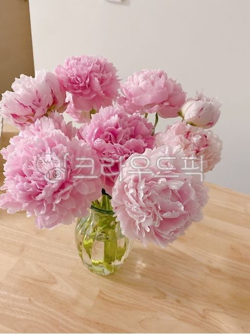 spring flowers,Peony,bouquet,flower arrangement,flowerbouquet,pink flower,peony,flower