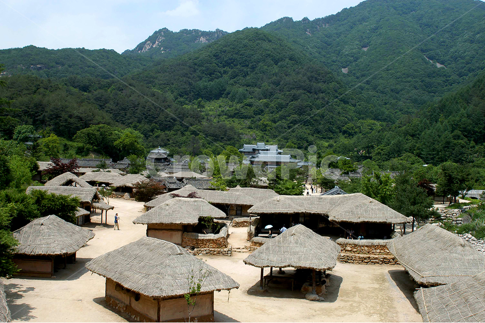 자연,고향,고향집,초가,골목길,시골,마을,풍경,landscape,country,rural,town,한국전통,한국문화,korean traditional,korean culture