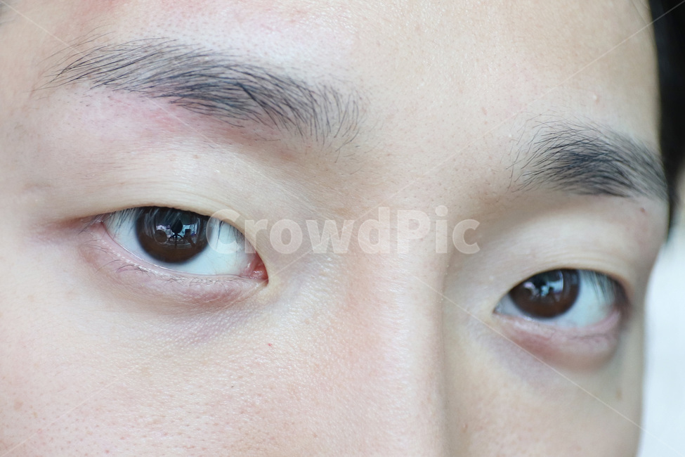 남자눈썹,남자피부,피부,눈썹,남자눈,눈동자,화장,뷰티,beauty,신체일부,몸,body