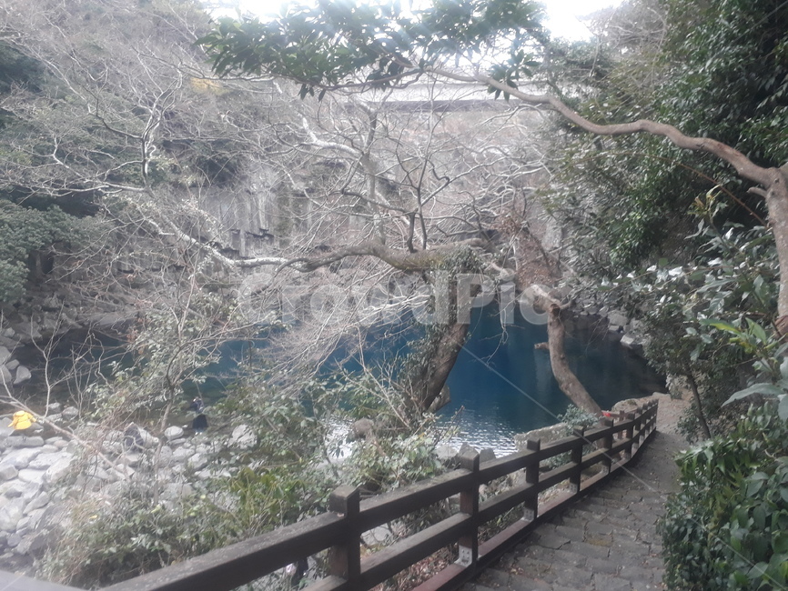 제주도,자연,첸제연,폭포,가는길,자연,풍경,nature,landscape,plant,식물
