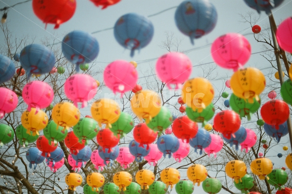 불교,사찰,temple,절,부처님오신날,연등,종교,신앙,religion,belief,faith