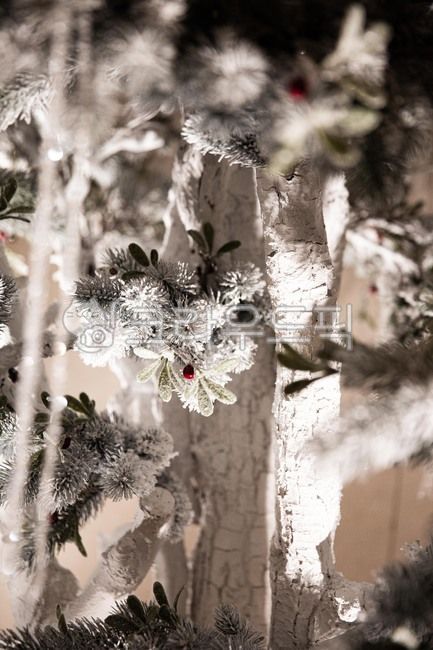흰눈,흰색,하얀색,흰눈꽃,하얀크리스마스,트리,성탄절,크리스마스트리,whitesnow,white,whitesnowflake,whitechristmas,tree,christmas,christmastree,겨울,계절,winter,season,메리크리스마스,성탄절,merry christmas