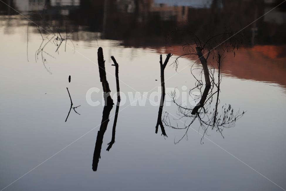자연,물,겨울,고요,반사,자연,풍경,nature,landscape,outdoors,옥외,land,땅,water