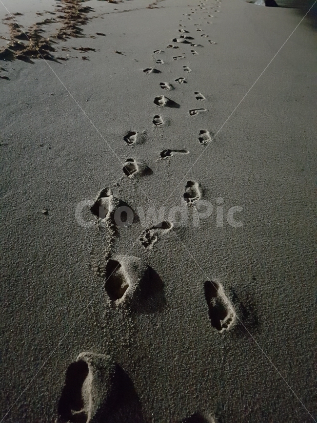 길,끝이없는길,바닷가,발자국,연인,모래,사랑,밤길,해변,바다,beach,sea