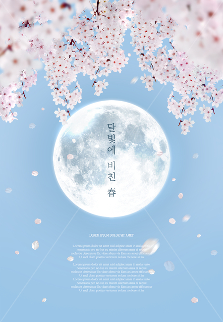 벚꽃,꽃잎,달,프레임,봄,감성,봄,계절,spring,season,식물,자연,plants,nature,꽃,flower,그래픽,일러스트레이션,graphic,illustration