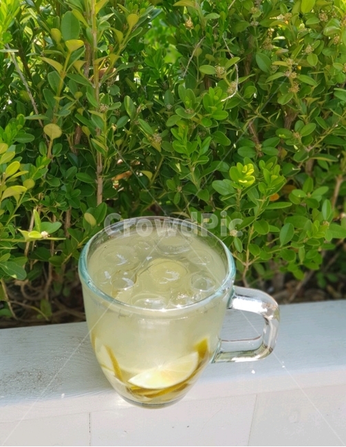 garden,flower,cup,icetea,teatime,summer,icecoffee,옥상,옥상정원,꽃,컵,아이스티,티타임,여유로움,한가로움,더워,시원해지는느낌,related,leisurely,낮,아이스커피,음료수,drink,beverage
