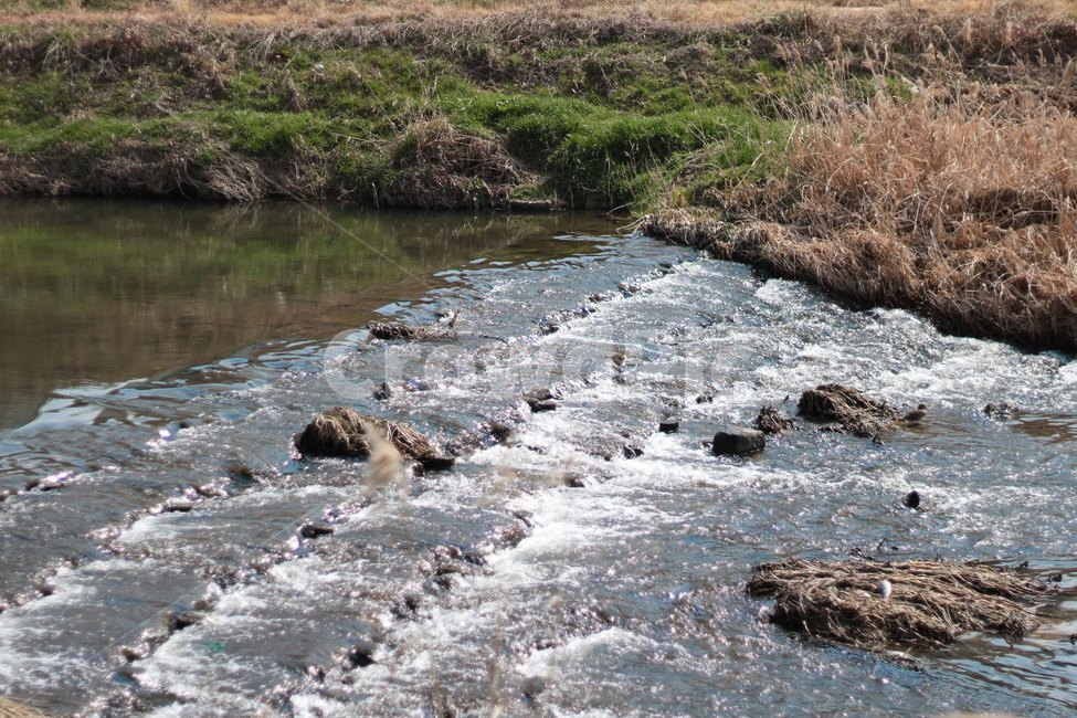 water,물,nature,자연,옥외,stream,흐름,creek,작은만,징검다리,하천,강,돌다리,돌,바위,보,만,댐,갈대