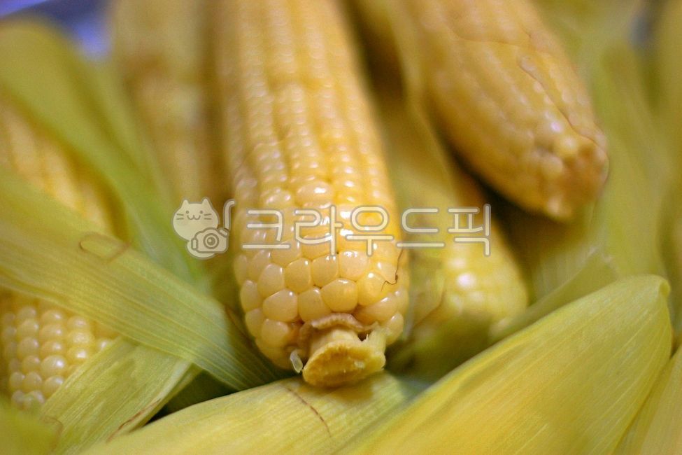 cornhusk,cornkernel,corn,cornsilk,corn stubble,food,corn kernels,corner,corn husk,boiledcorn,boiled corn