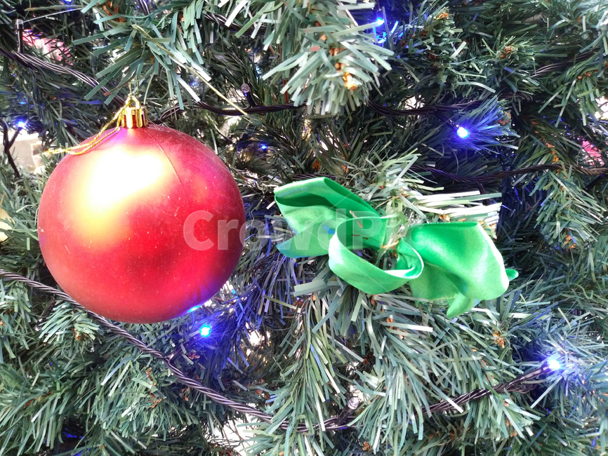 tree,나무,plant,식물,장식,christmastree,크리스마스트리,성탄절,데코레이션,연말,예수님,기독교,구슬,겨울,계절,winter,season,메리크리스마스,성탄절,merry christmas