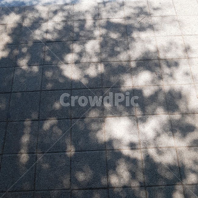 나무,나뭇잎,길,길바닥,나무그림자,그림자,shadow,tree