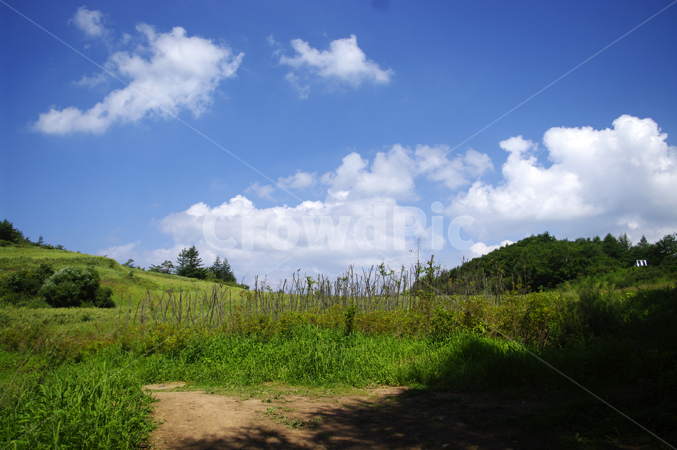 하늘,구름,풍경,자연,식물,들,나무,nature,날씨,weather,자연,풍경,nature,landscape