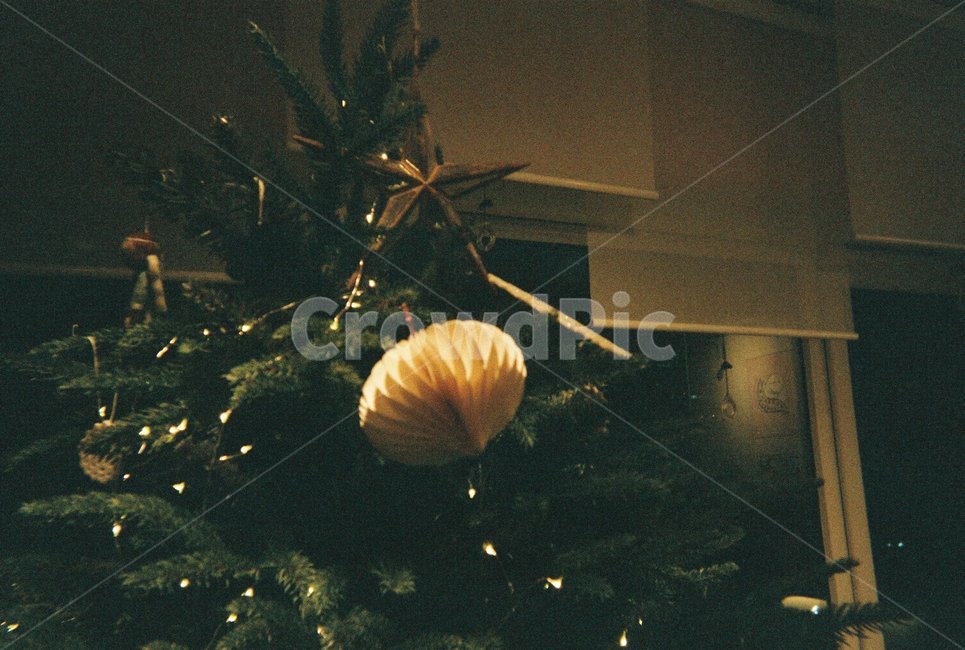 크리스마스,트리,christmas,holiday,명절,필름카메라