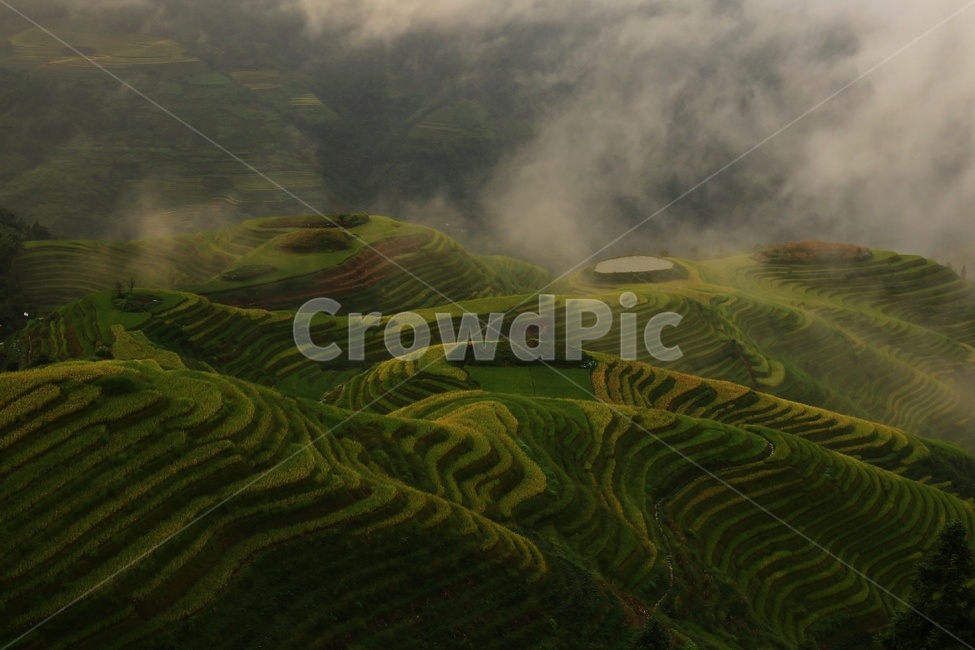 nature,자연,outdoors,옥외,countryside,field,들,hill,언덕,중국,계림,용척,용척다랭이논,다랭이논,다락논,농업,농경지,경작,농사,중국비경,경치,경관,풍경,운해,용척제전아침