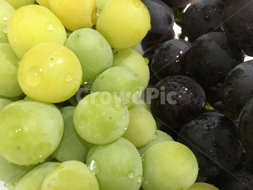 포도,grapes,과일,fruit,조화,함께