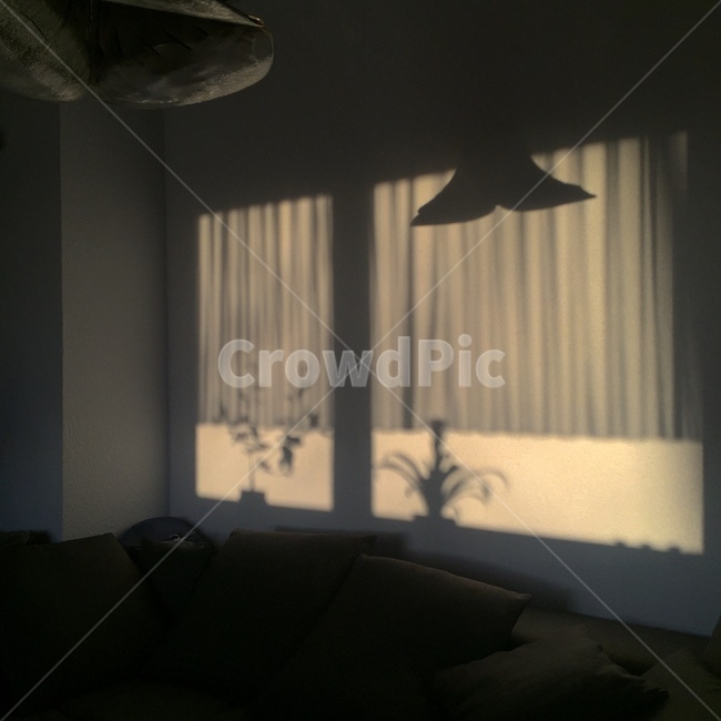 그림자,커튼,노을,식물,전등,인테리어,실내디자인,interior design