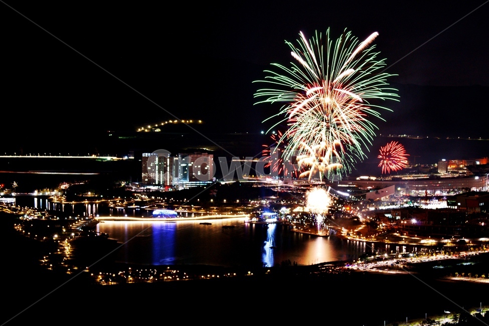 세종시,호수공원,불꽃놀이,전월산,야경,야경,밤,풍경,nightscape,night,landscape,축제,행사,festival,carnival,event,nature,자연,outdoors,옥외