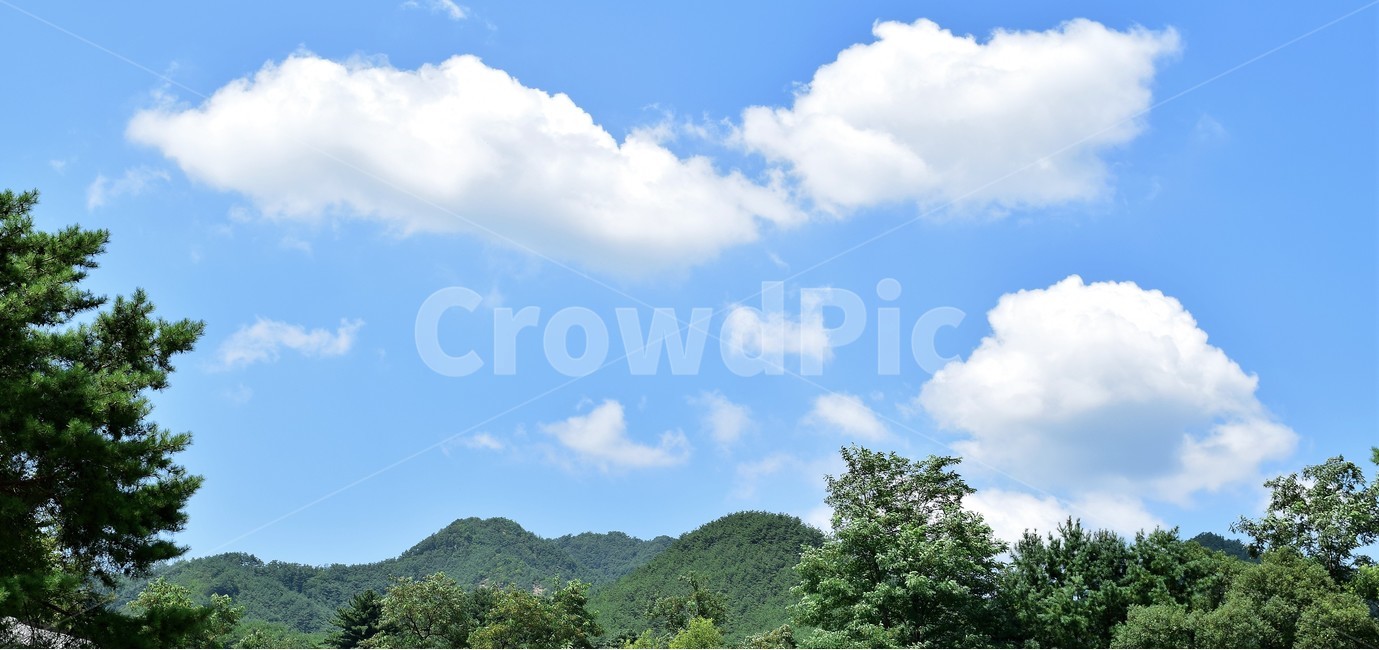 하늘,파란,구름,하얀,자연,빛,배경화면,sky,background,blue,clouds,white,cloudy,nature,cloud,light,heaven,dramatic,weather,day,자연,풍경,nature,landscape,outdoors,옥외