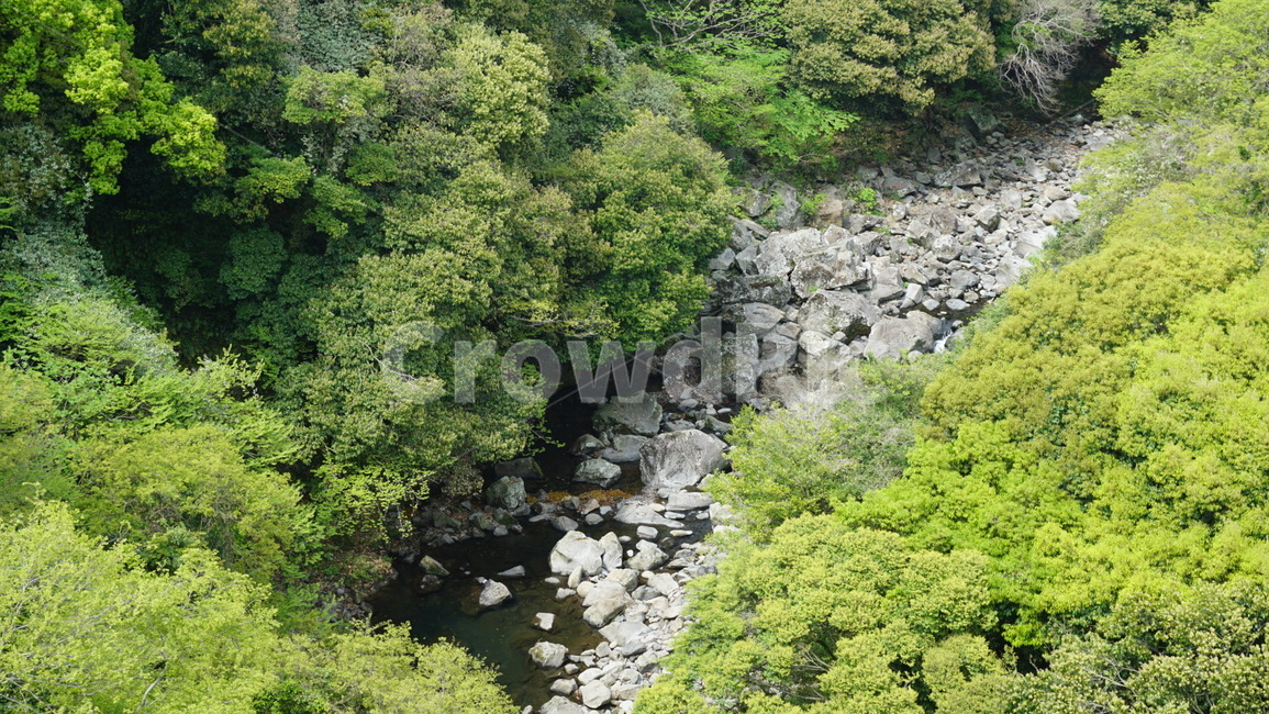 바위,계곡,여름,산,나무,자연,그리너리,greenery,summer,tree,rock