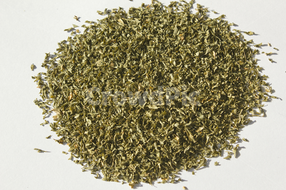 parsley,dryparsley,powder,파슬리,파슬리가루,파슬리잎,가루,요리재료,식재료,이탈리안,말린,마른,말린잎,closeup,cooking,driedparsley,dry,food,italian,leaf,parsleyleaf,plant,양념,더미,dummy,group,덩어리,모여있는