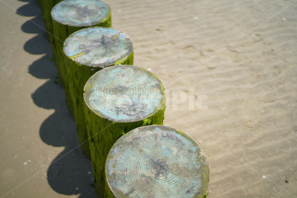 나무,바다,모래,여름,기둥,그림자,해변,바다,beach,sea