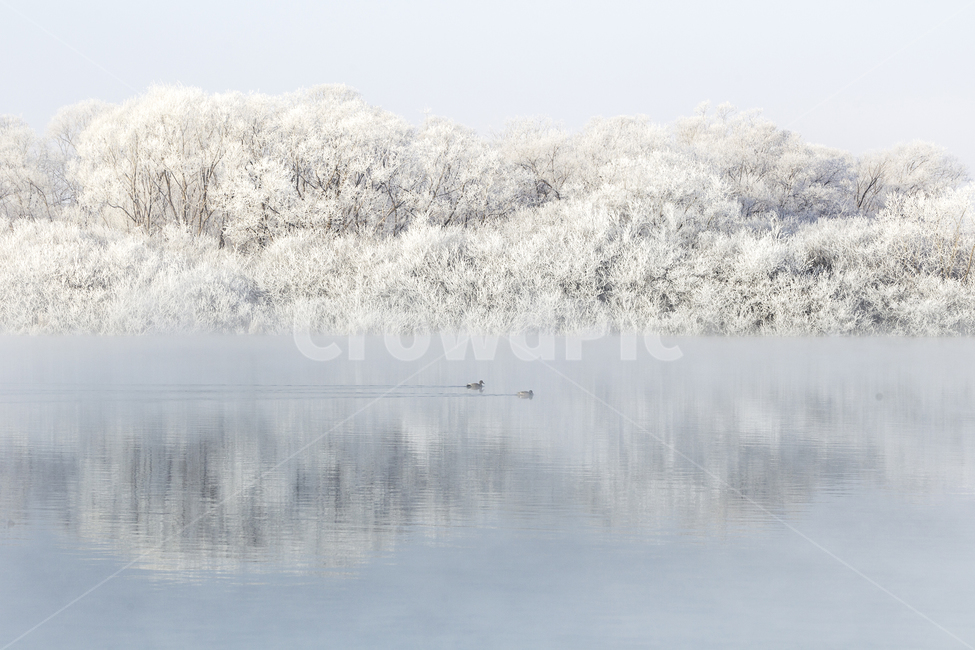 상고대,겨울,풍경,소양호,춘천,겨울,계절,winter,season,자연,풍경,nature,landscape,한국자연풍경,한국자연경관,korea nature landscape