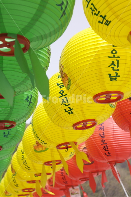 석가탄신일,부처님,부처,빨간색,파란색,노란색,연두색,핑크색,초파일,석가모니,관등,등,연등,관불,연등행사,소원,종교,신앙,religion,belief,faith,축제,행사,festival,carnival,event