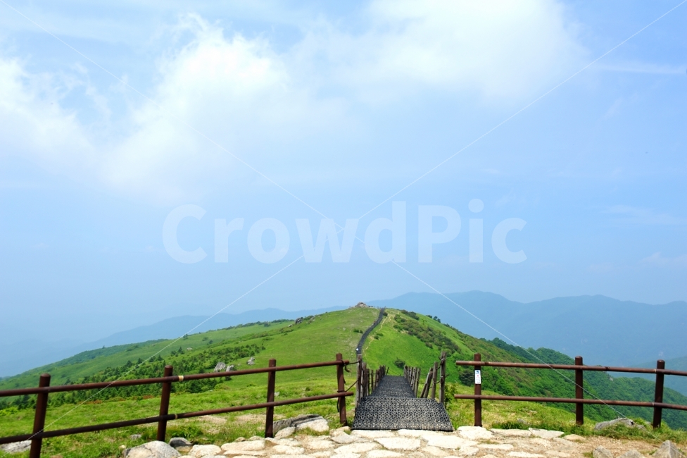 산,명산,소백산,여행,철쭉,등산,자연,풍경,nature,landscape,outdoors,옥외,grassland,목초지,field,들
