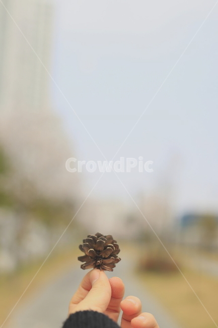 솔,봄,손,봄길,아웃포커싱,감성,sensible,feeling