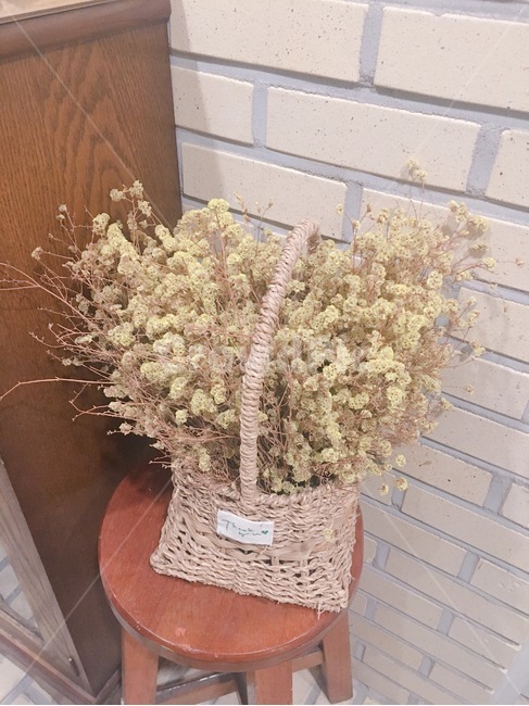 꽃,카페,꽃바구니,노란색,꽃다발,꽃,flower,실내용화초,화분,화초,house plant,인테리어,실내디자인,interior design