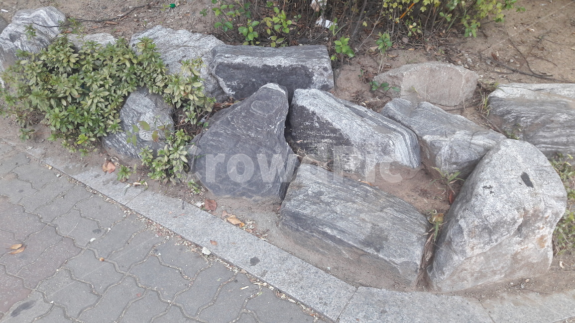 돌,자연,길,풍경,도시,자연,풍경,nature,landscape,slate,슬레이트,flagstone,판석,path,통로,walkway,보도