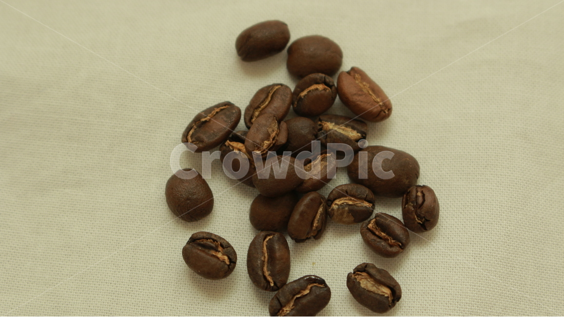 커피,원두,생두,음식,커피콩,누끼,음료,카페인,자연,계절,갈색,카페coffee,cafe,연출,컨셉,콘셉,예가체프,커피,카페,coffee,cafe