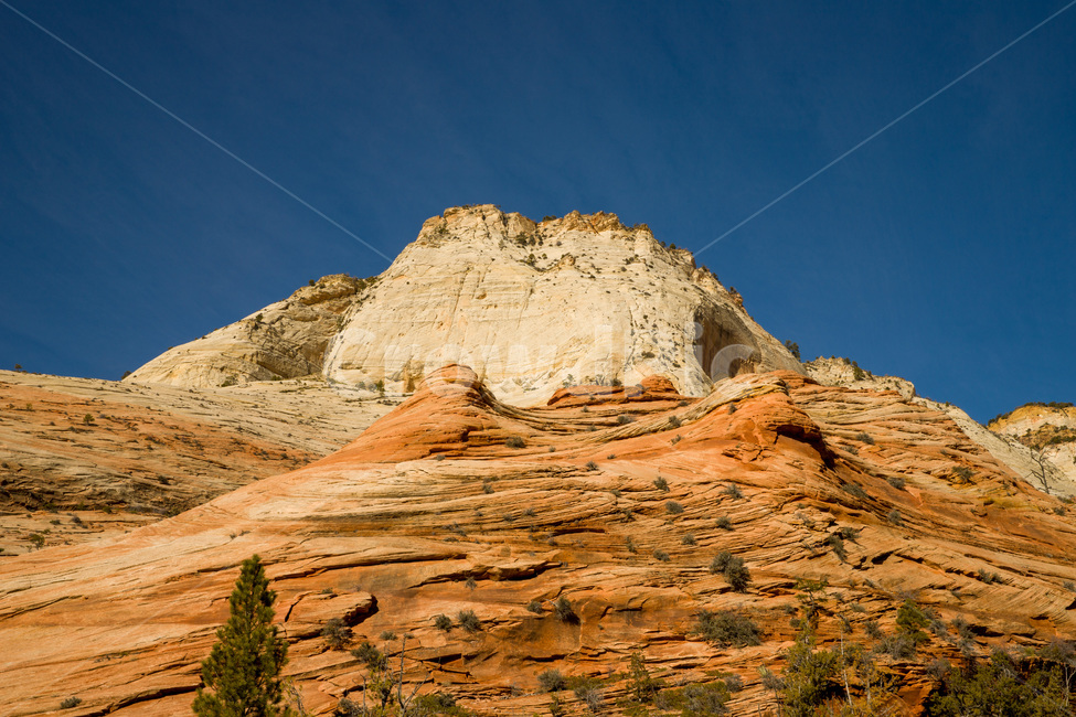 zioncanyon,national,utah,plateau,erosion,sandstone,scenery,arid,beautiful,blue,canyon,cliff,desert,geology,hiking,hill,landscape,mountain,natural,nature,nevadadesert,outdoor,park,red,rock,sand,scenic,sky,stone,summer,tourism,usa,valley,view,미국,아메리카,유타,사막,황량,자이언캐년,자연,풍경,nature,landscape,해외,외국,세계,foreign,oversea,world,세계자연풍경,해외자연풍경,외국자연풍경,world nature landscape