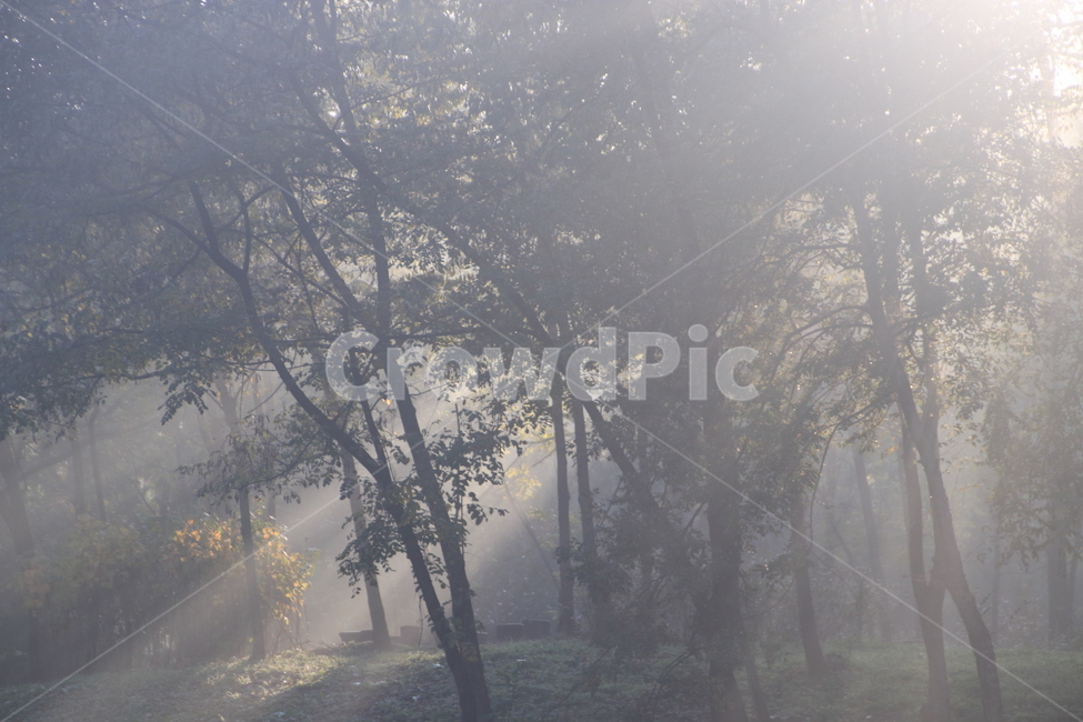 햇빛,플레어,sunlight,빛내림,light,날씨,nature,빛,weather,자연,자연,풍경,nature,landscape