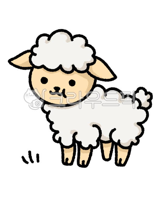 sheep,양,양일러스트,양그림,귀여움,손그림,illustration