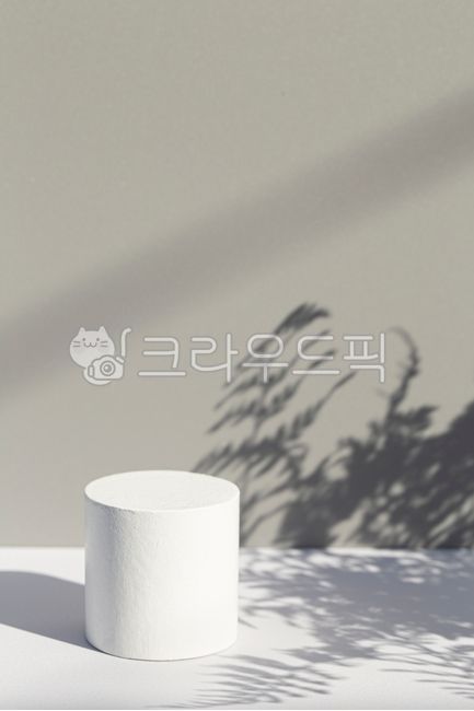 디스플레이박스,디스플레이,화이트,하얀상자,전시다이,전시대,전시,소품,3d배경,쇼케이스,촬영소품,빛,그림자,잎,식물