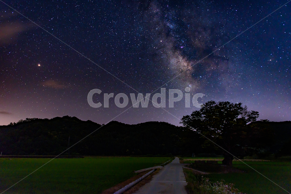 nature,milkyway,은하수,원정리,원정리느티나무,landscape,풍경,야경,밤,풍경,nightscape,night,landscape,자연,nature,한국자연풍경,한국자연경관,korea nature landscape,outdoors,옥외