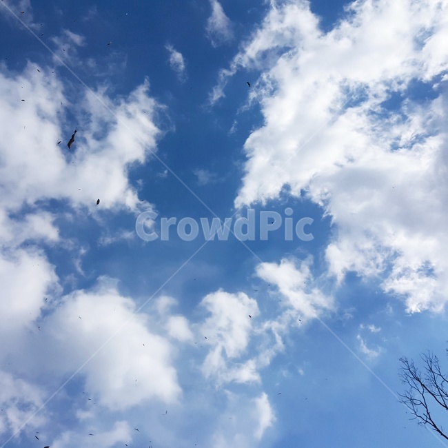 가을,하늘,맑은하늘,구름,풍경,자연,풍경,nature,landscape,azure sky,푸른 하늘,sky,outdoors,옥외