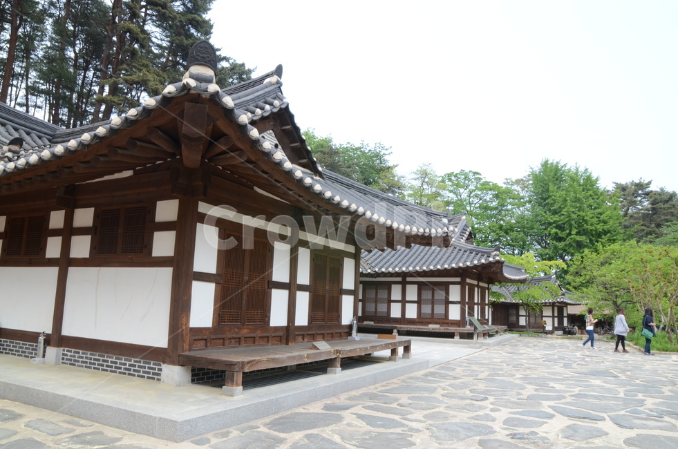 한옥,전통가옥,기와집,옥외,outdoors,선교장,강릉,문화재,고택,고즈넉한,건축물