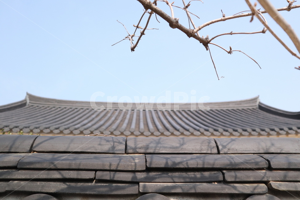 한옥,한옥지붕,시골,시골감성,기와,기와집,한국전통,한국문화,korean traditional,korean culture,건축물,건물외관,exterior,building,structure,architecture,construction