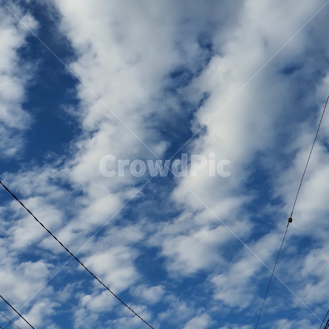 nature,자연,푸른하늘,sky,하늘,구름,cloud,전기줄